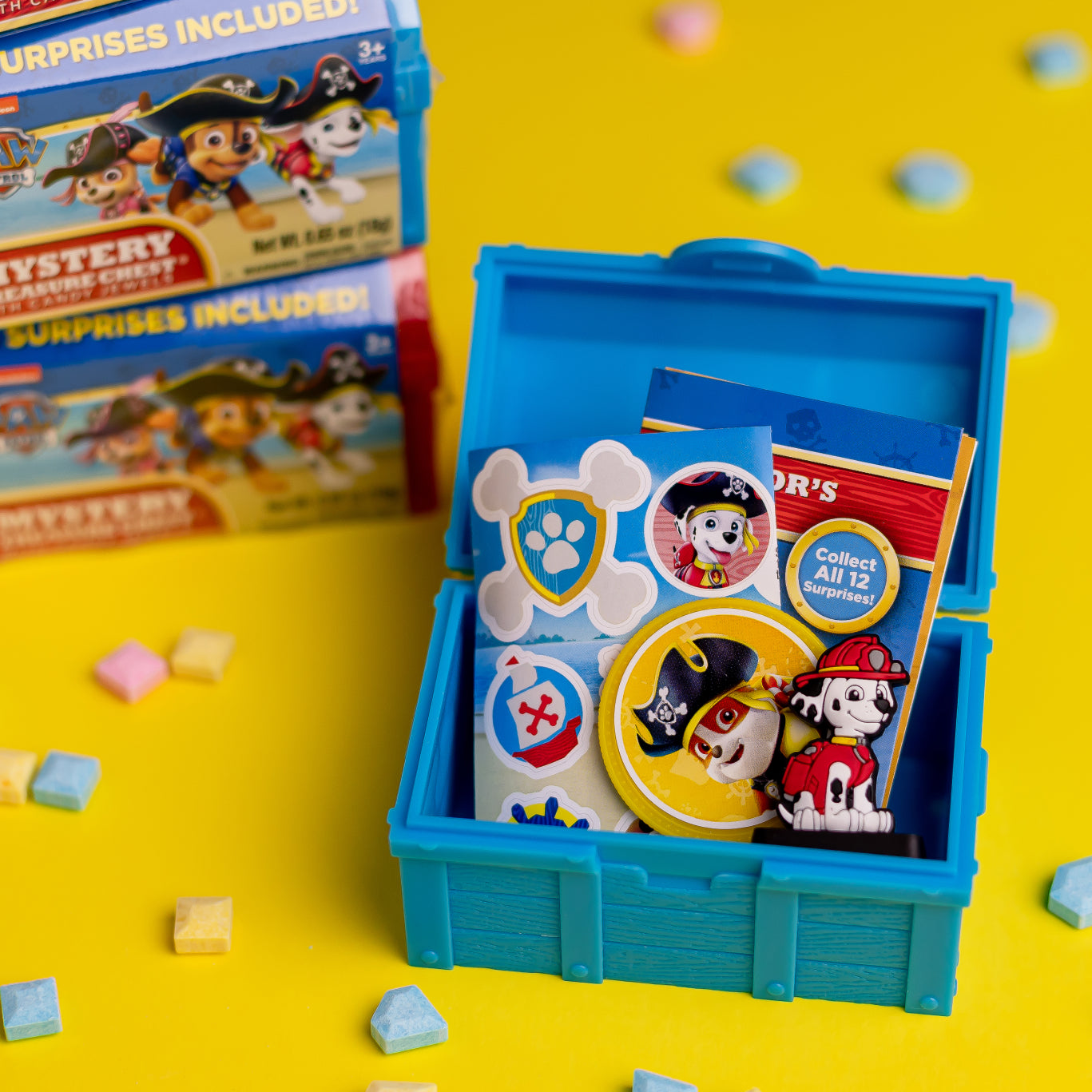 Paw Patrol Mystery Treasure Chest